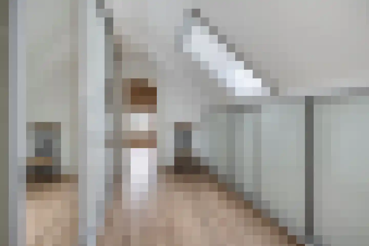 Molenlaan 31 Sommelsdijk thumbnail 43