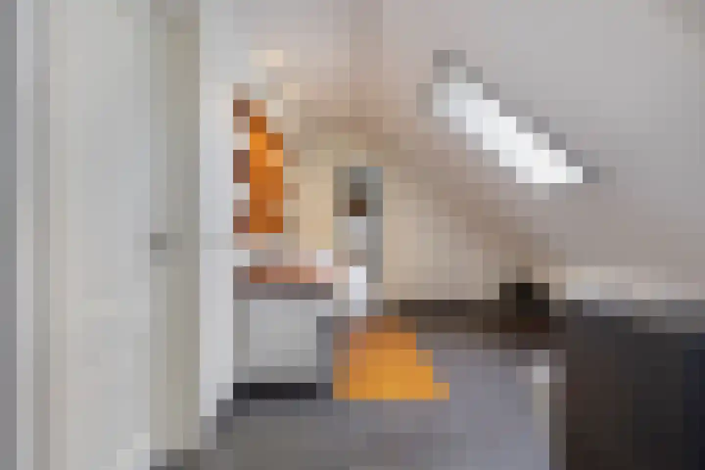 Molenlaan 31 Sommelsdijk thumbnail 45