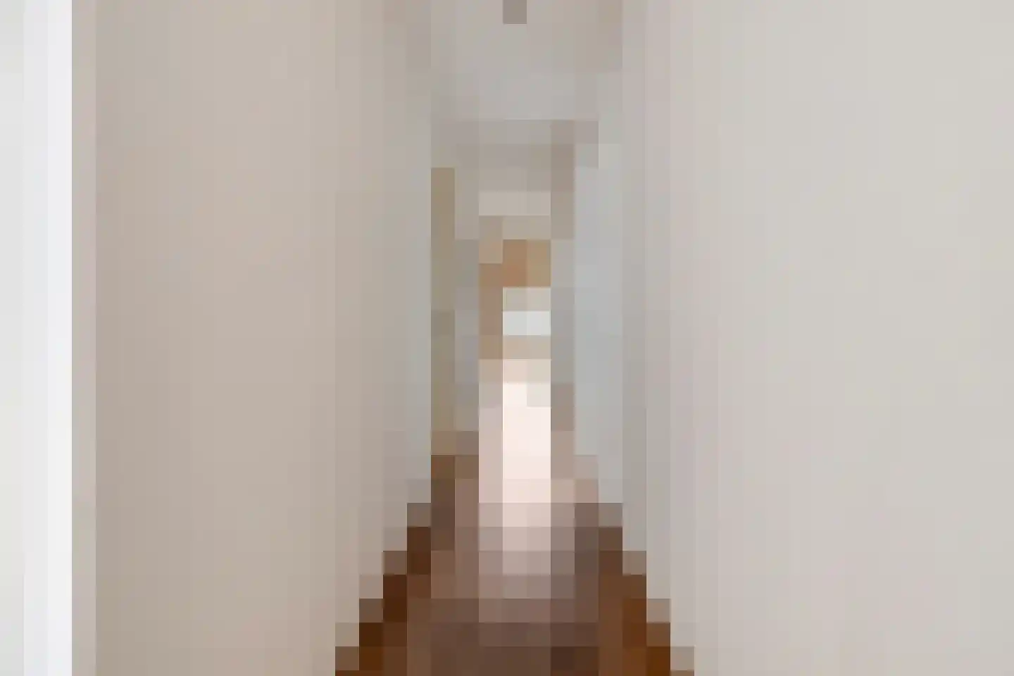 Molenlaan 31 Sommelsdijk thumbnail 47