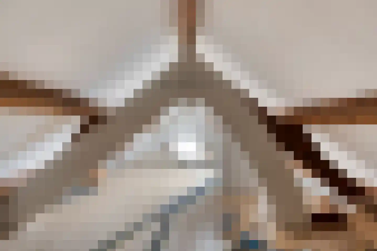 Molenlaan 31 Sommelsdijk thumbnail 49