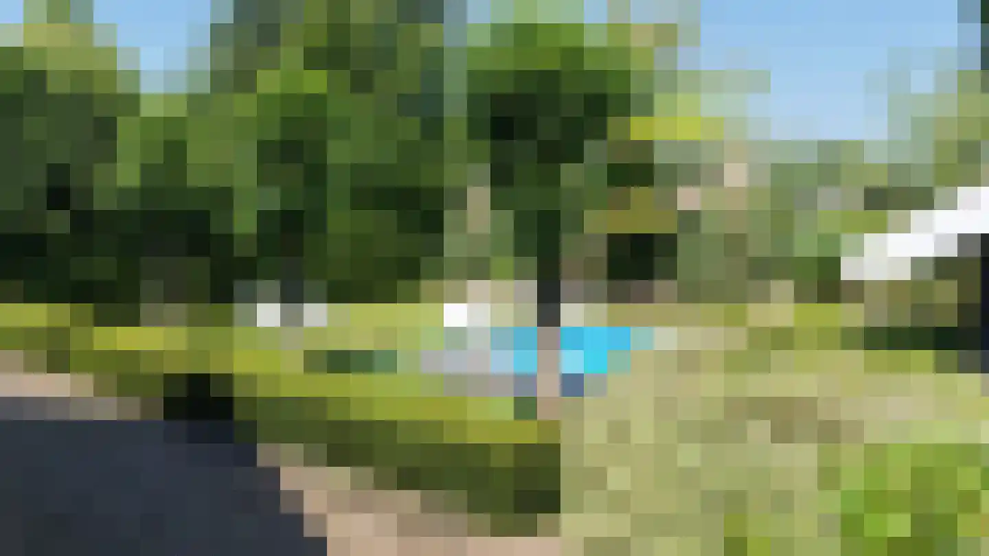 Molenlaan 31 Sommelsdijk thumbnail 51