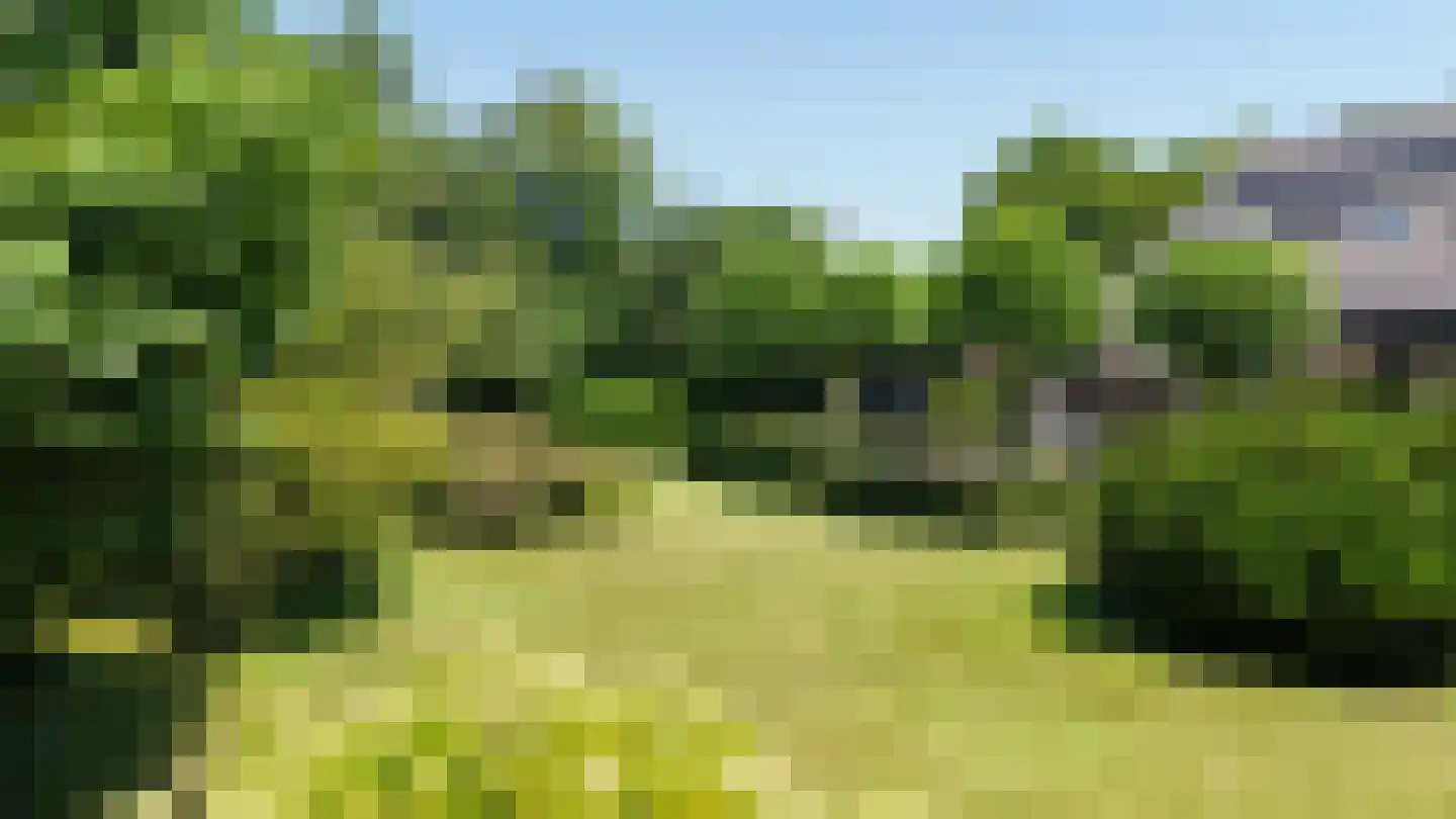 Molenlaan 31 Sommelsdijk thumbnail 52