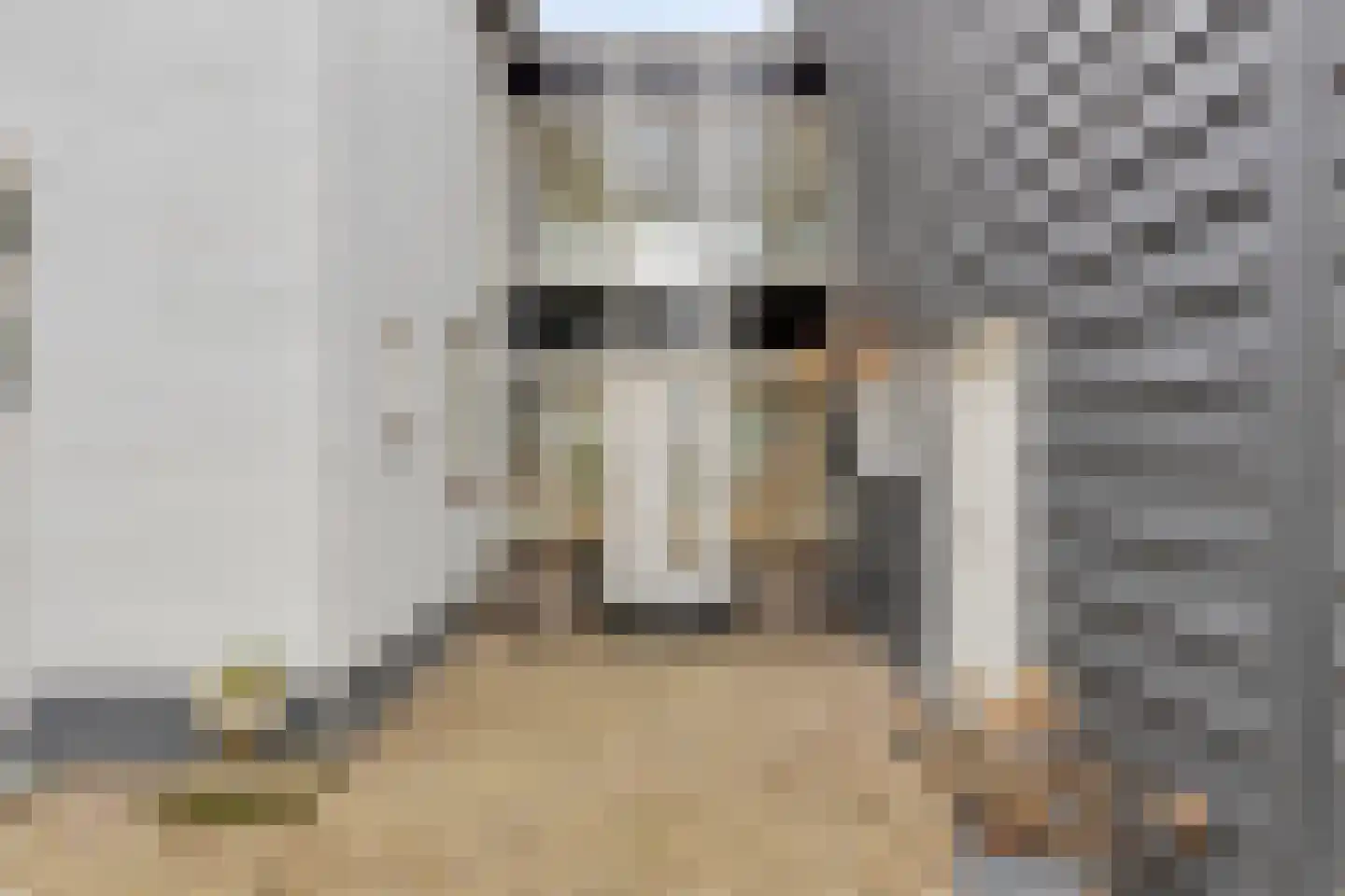 Molenlaan 31 Sommelsdijk thumbnail 54
