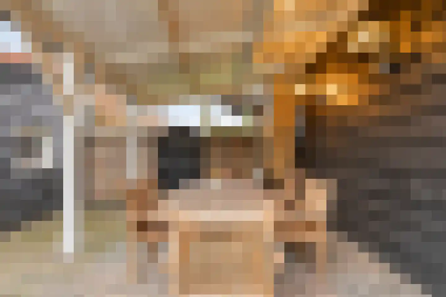 Molenlaan 31 Sommelsdijk thumbnail 58