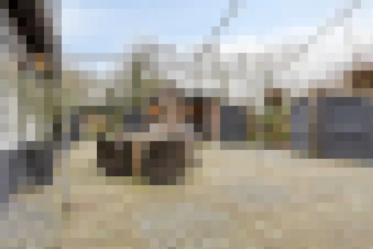 Molenlaan 31 Sommelsdijk thumbnail 59