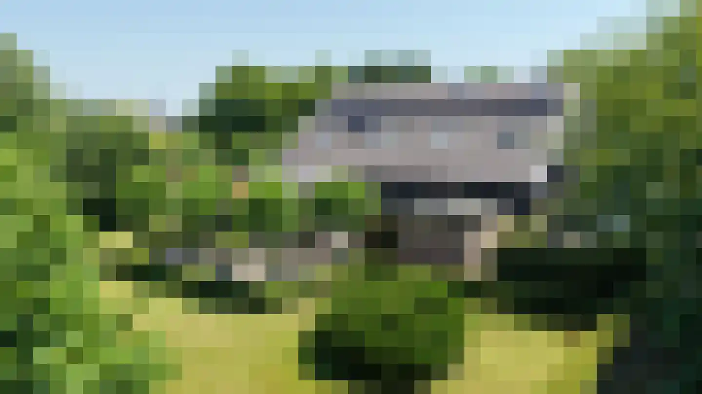 Molenlaan 31 Sommelsdijk thumbnail 6