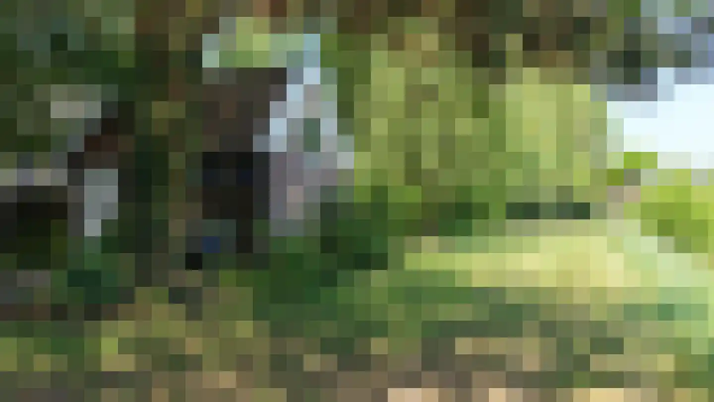 Molenlaan 31 Sommelsdijk thumbnail 61