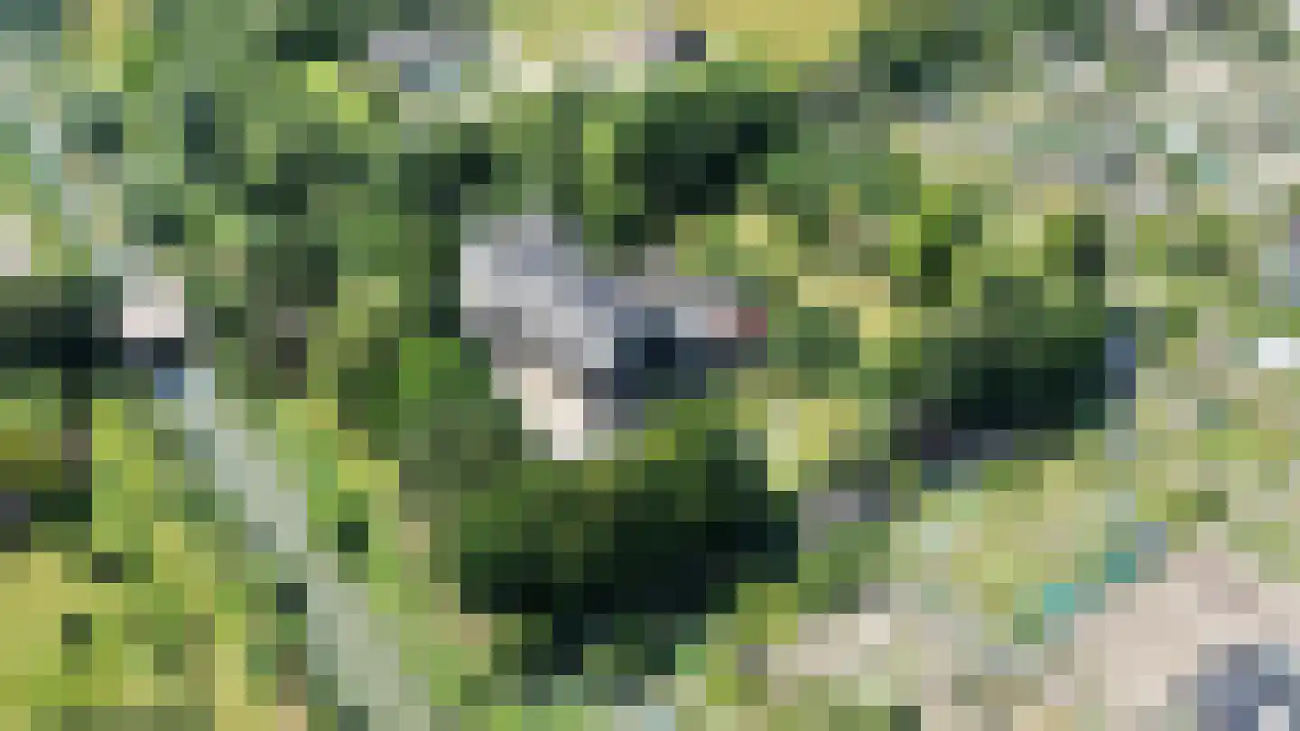 Molenlaan 31 Sommelsdijk thumbnail 64