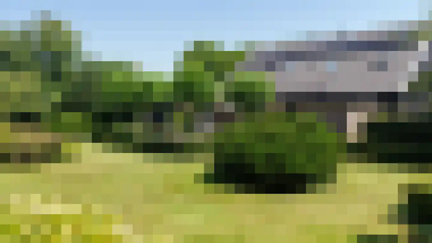 Molenlaan 31 Sommelsdijk thumbnail 65