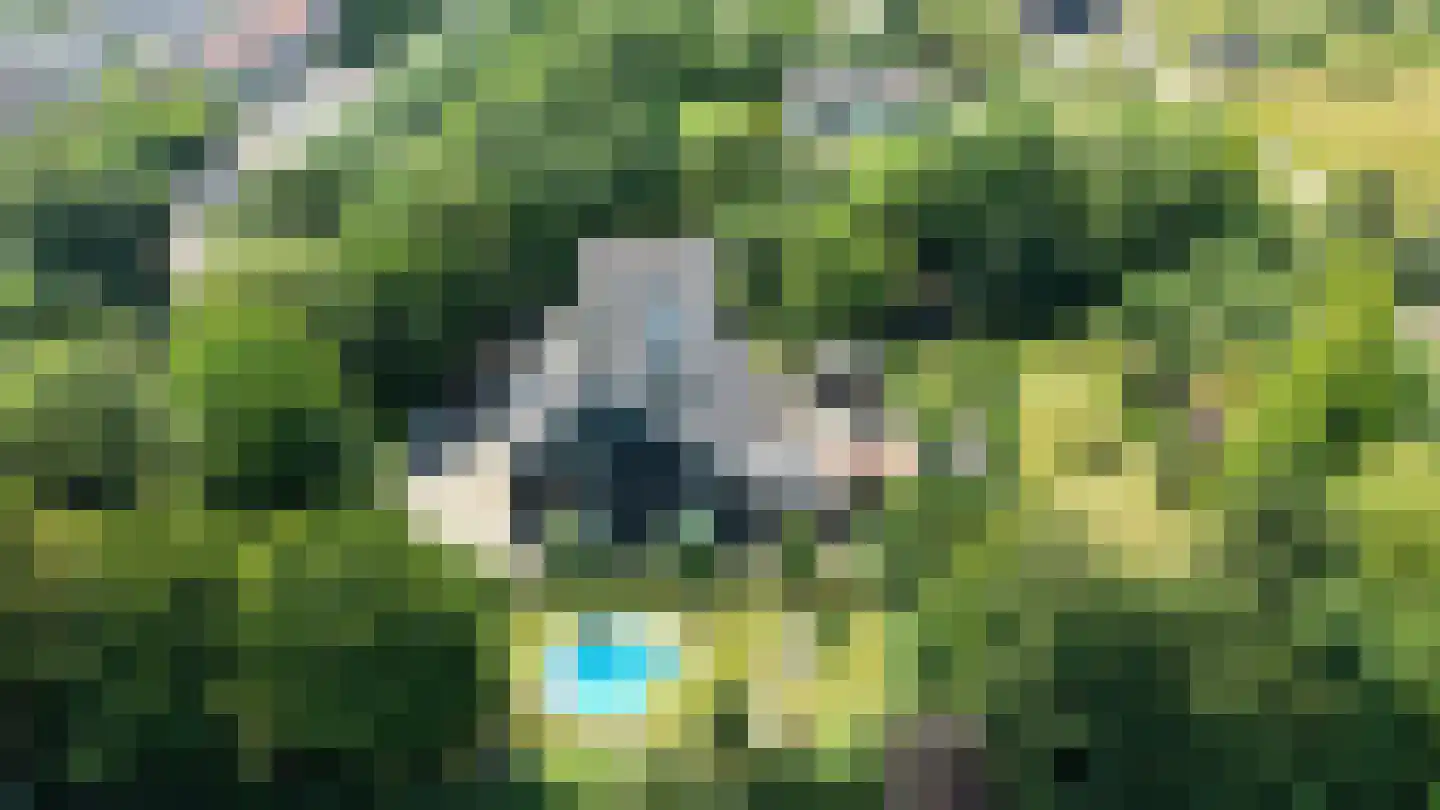 Molenlaan 31 Sommelsdijk thumbnail 68