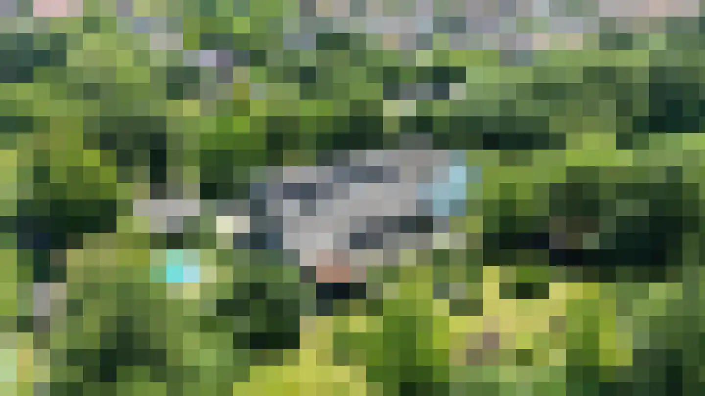 Molenlaan 31 Sommelsdijk thumbnail 69