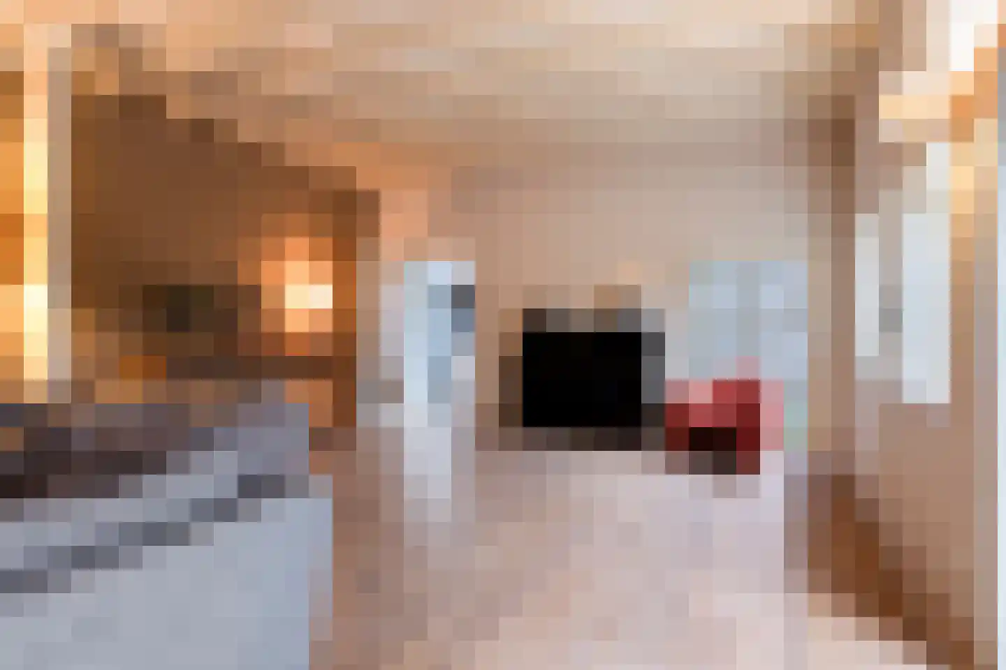 Molenlaan 31 Sommelsdijk thumbnail 8