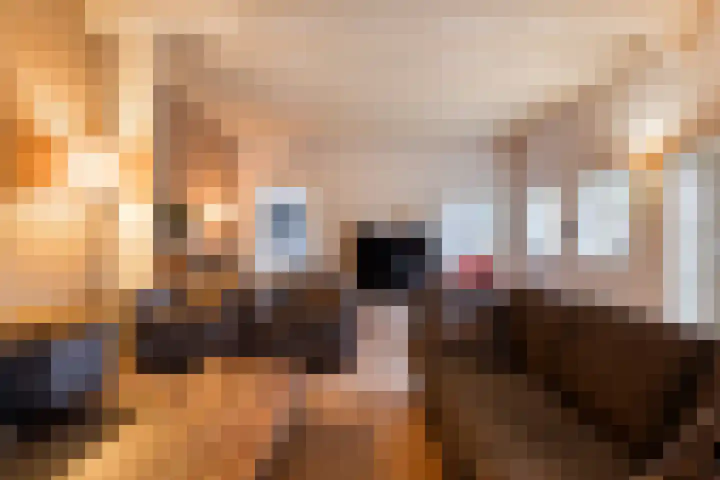 Molenlaan 31 Sommelsdijk thumbnail 9