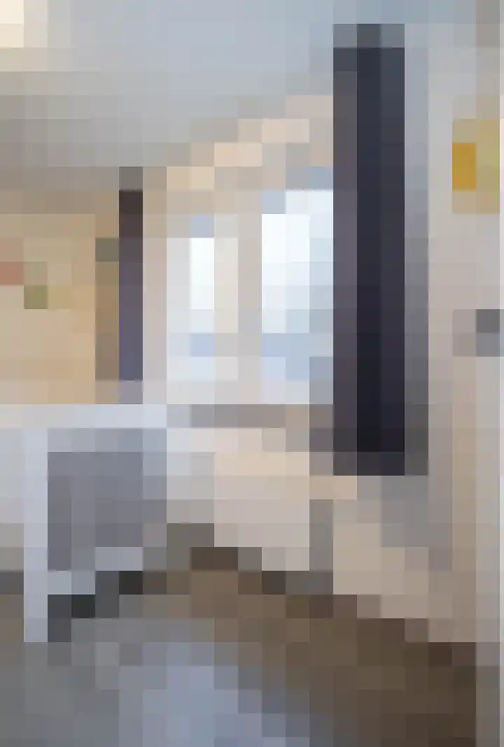 Molenlaan 35 Deurne thumbnail 29