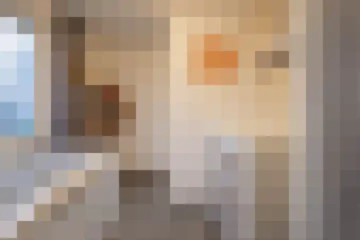 Molenlaan 35 Deurne thumbnail 30