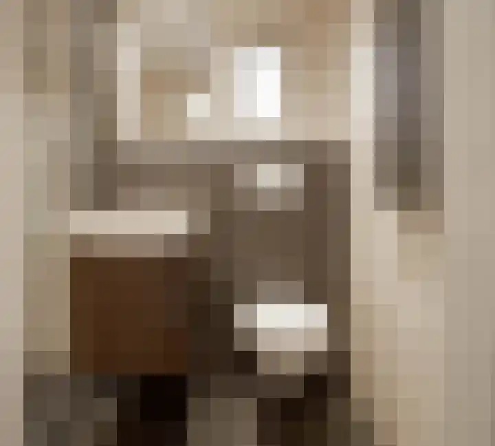 Molenlaan 35 Deurne thumbnail 32