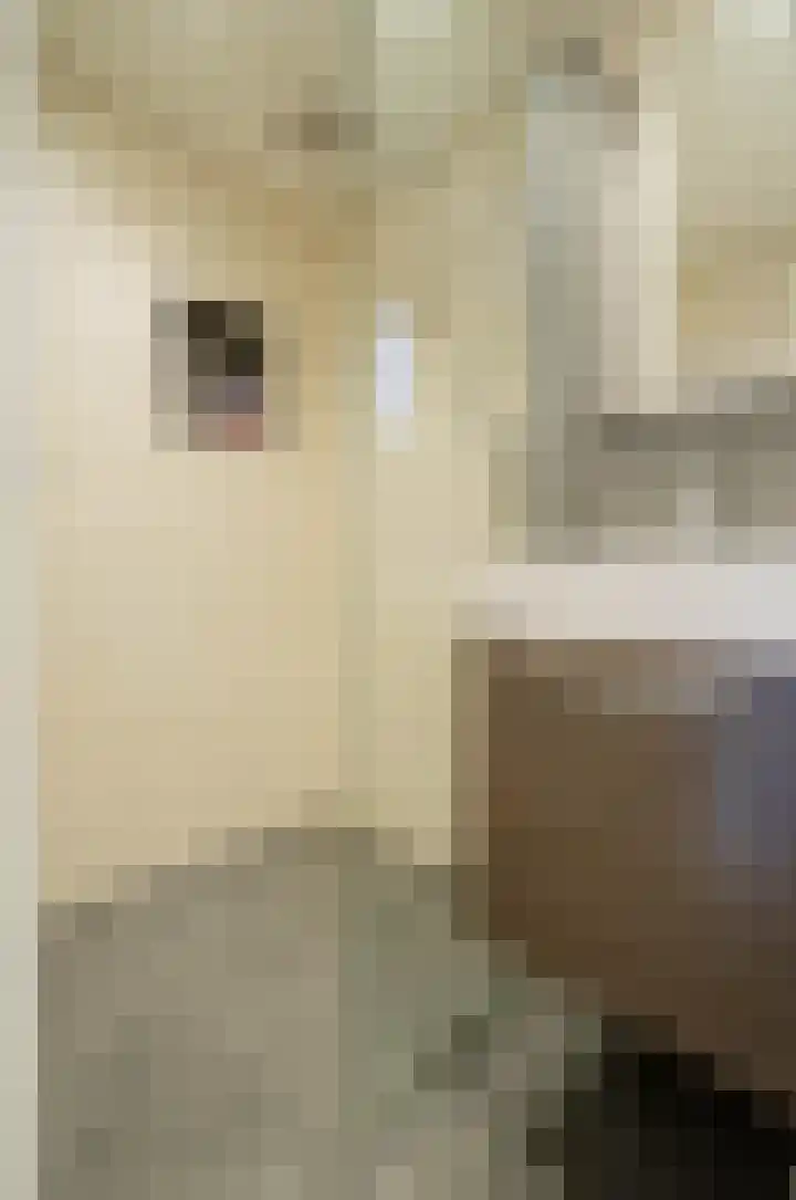 Molenlaan 35 Deurne thumbnail 33