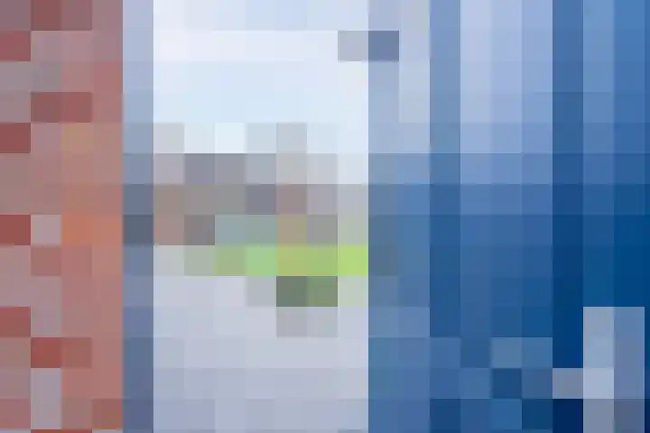 Molenlaan 35 Deurne thumbnail 40