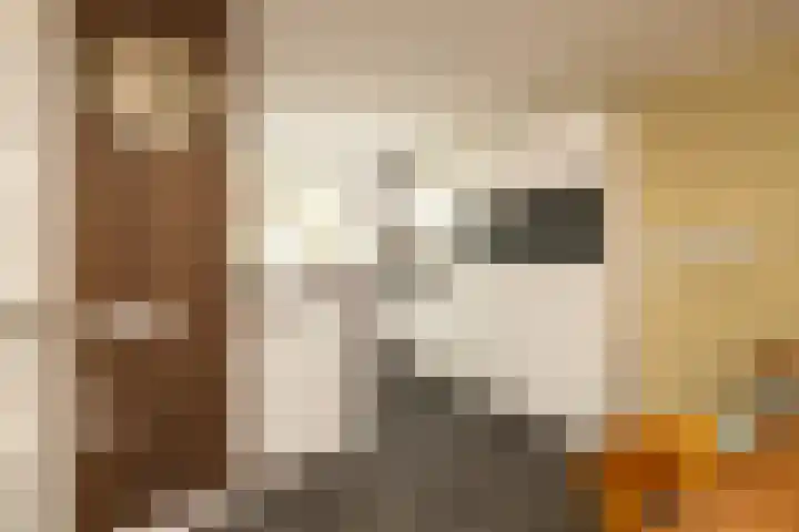 Molenlaan 38 Groot-Ammers thumbnail 13