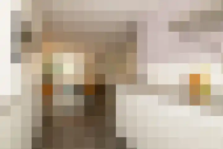 Molenlaan 38 Groot-Ammers thumbnail 16