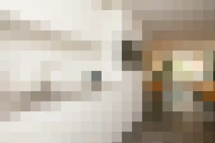 Molenlaan 38 Groot-Ammers thumbnail 17
