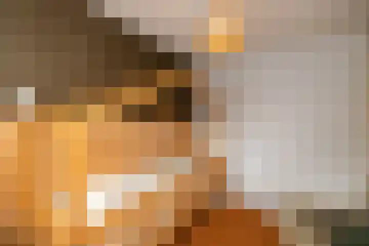 Molenlaan 38 Groot-Ammers thumbnail 37