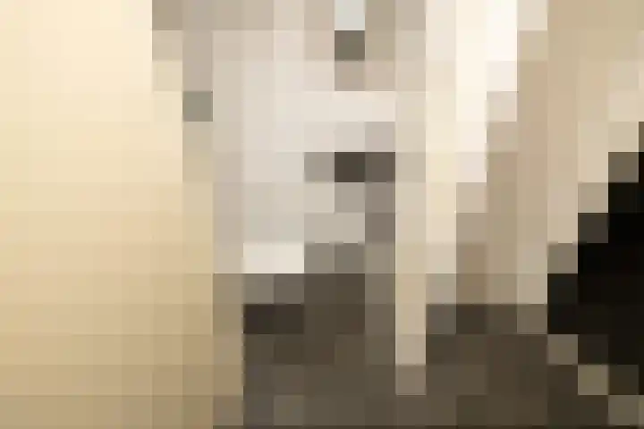 Molenlaan 38 Groot-Ammers thumbnail 4