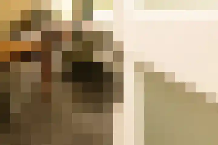 Molenlaan 38 Groot-Ammers thumbnail 5