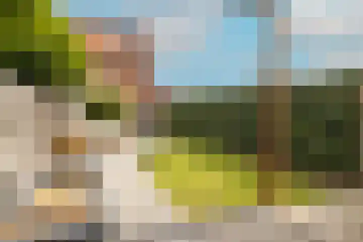 Molenlaan 38 Groot-Ammers thumbnail 52
