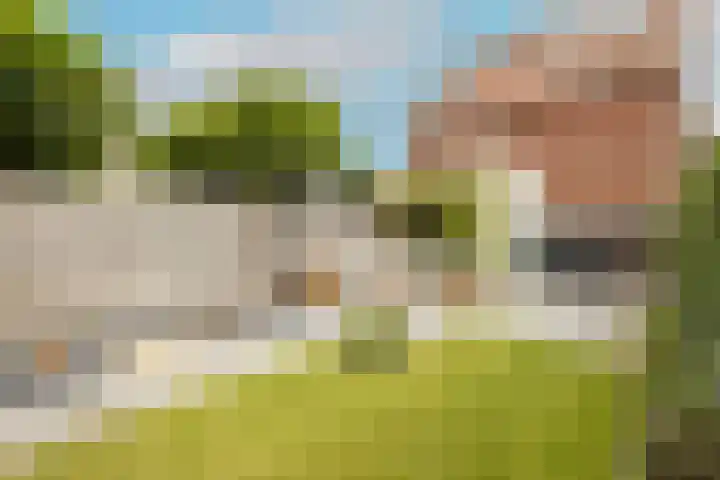Molenlaan 38 Groot-Ammers thumbnail 53