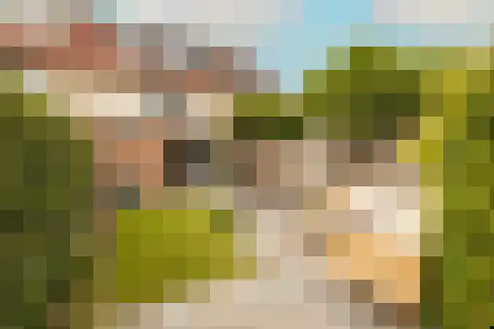 Molenlaan 38 Groot-Ammers thumbnail 55