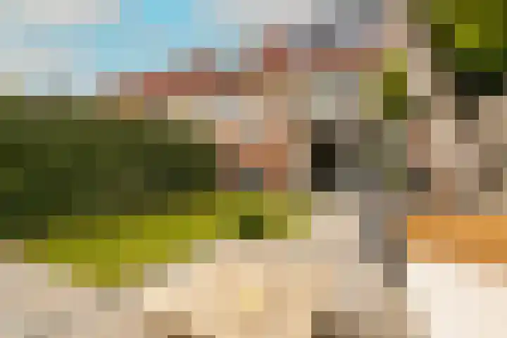 Molenlaan 38 Groot-Ammers thumbnail 56