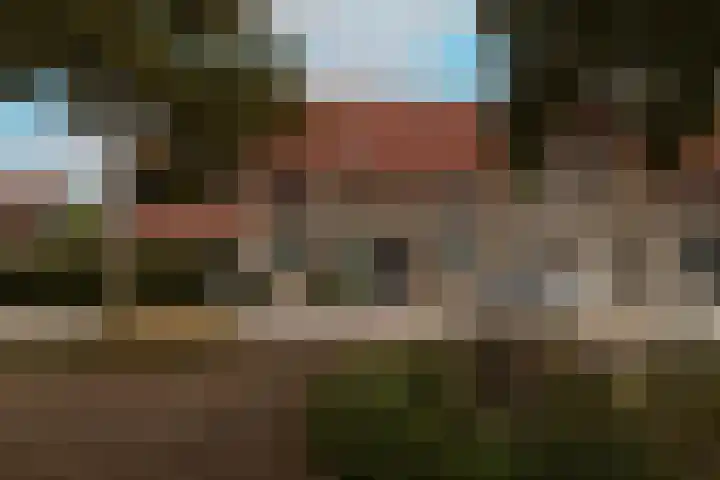 Molenlaan 38 Groot-Ammers thumbnail 60