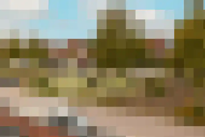 Molenlaan 38 Groot-Ammers thumbnail 61