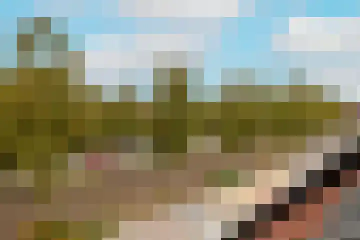 Molenlaan 38 Groot-Ammers thumbnail 63