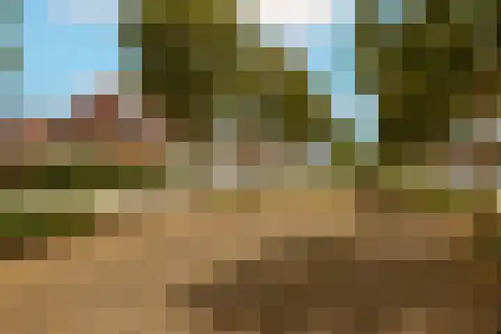Molenlaan 38 Groot-Ammers thumbnail 64