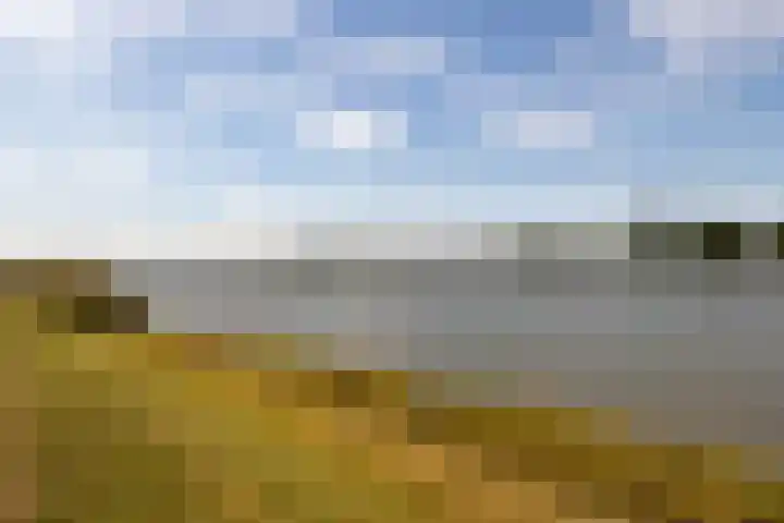 Molenlaan 38 Groot-Ammers thumbnail 65