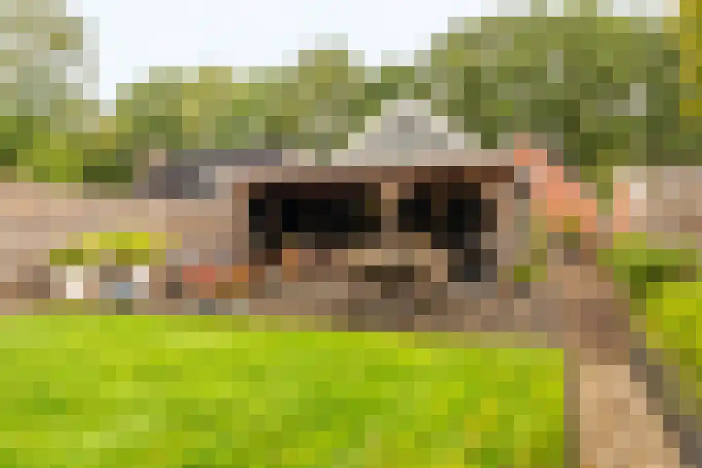 Molenlaan 4 Bellingwolde thumbnail 10