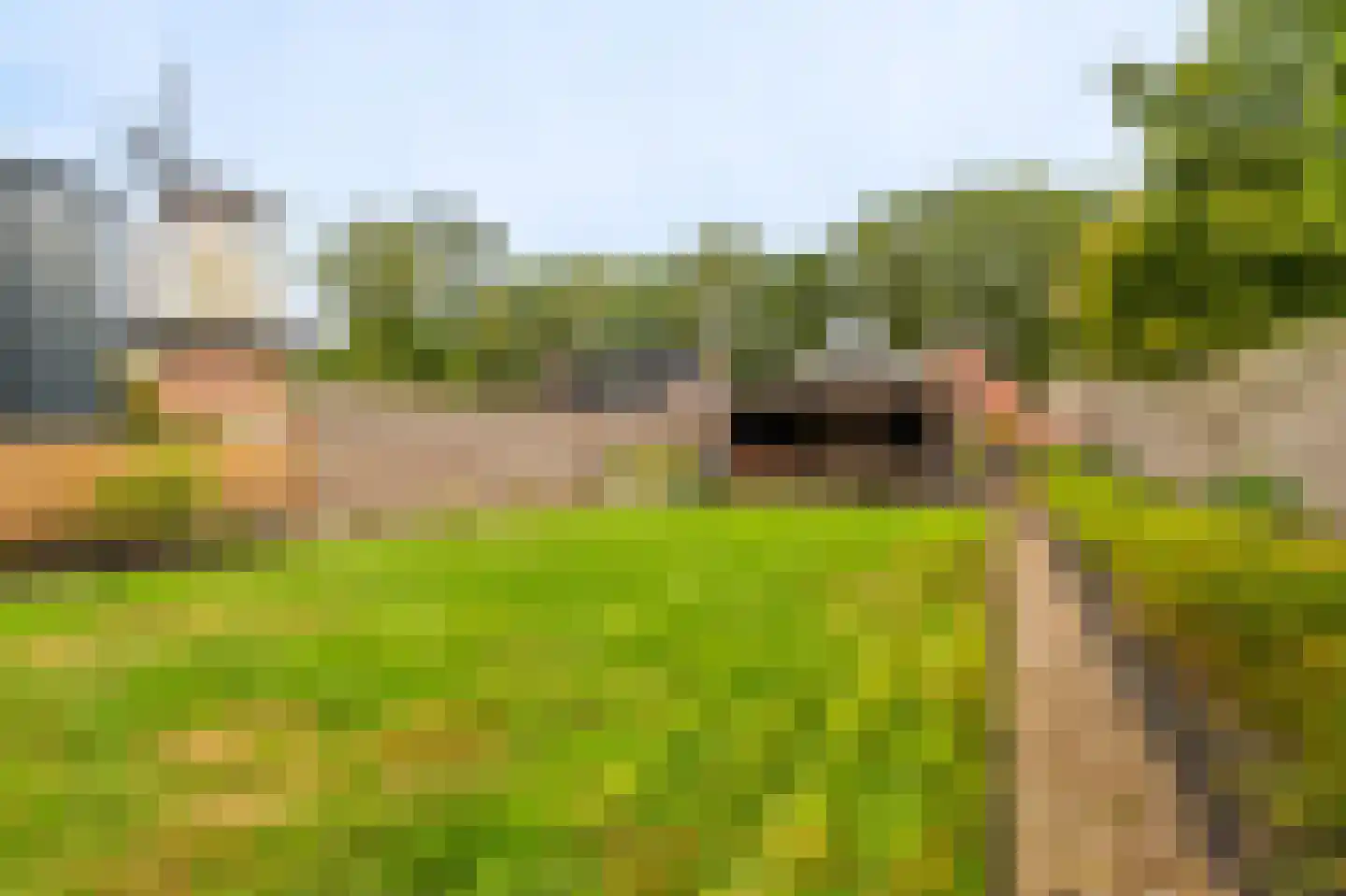 Molenlaan 4 Bellingwolde thumbnail 11