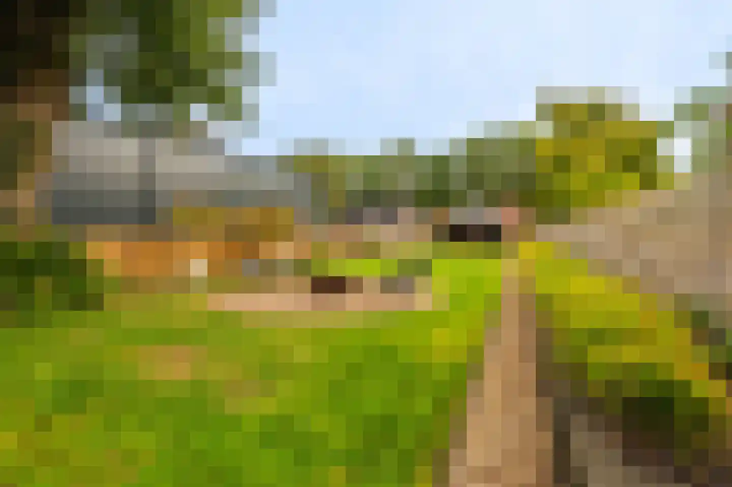 Molenlaan 4 Bellingwolde thumbnail 13