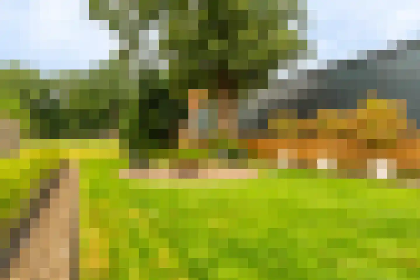 Molenlaan 4 Bellingwolde thumbnail 14