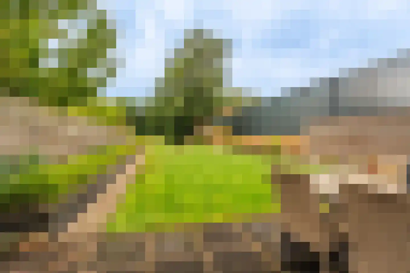 Molenlaan 4 Bellingwolde thumbnail 15