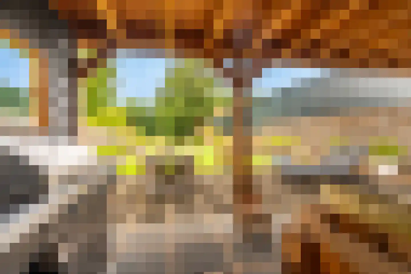 Molenlaan 4 Bellingwolde thumbnail 16