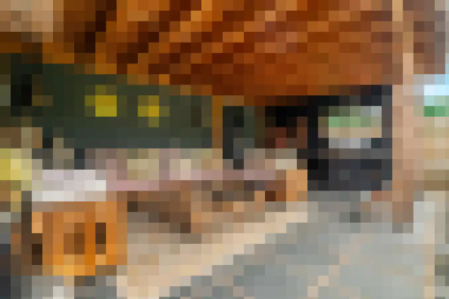 Molenlaan 4 Bellingwolde thumbnail 17