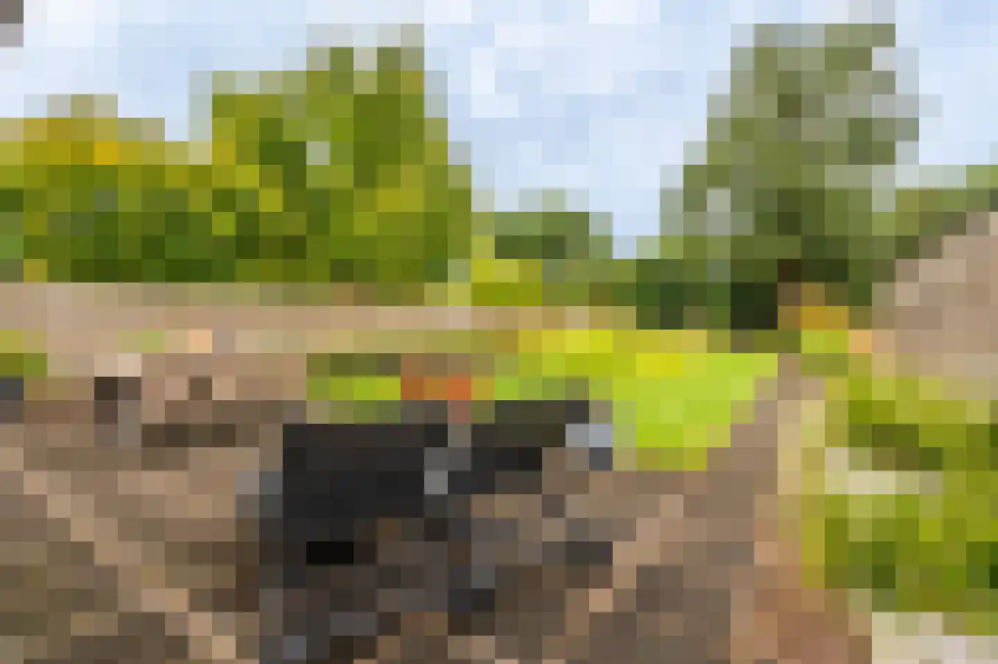 Molenlaan 4 Bellingwolde thumbnail 18