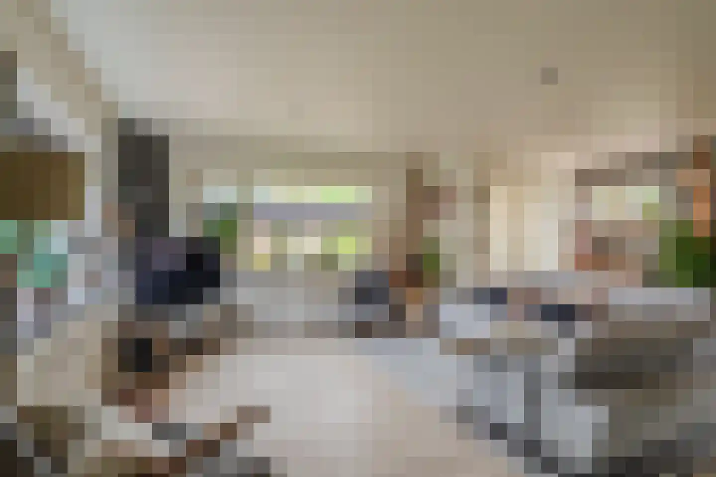 Molenlaan 4 Bellingwolde thumbnail 21