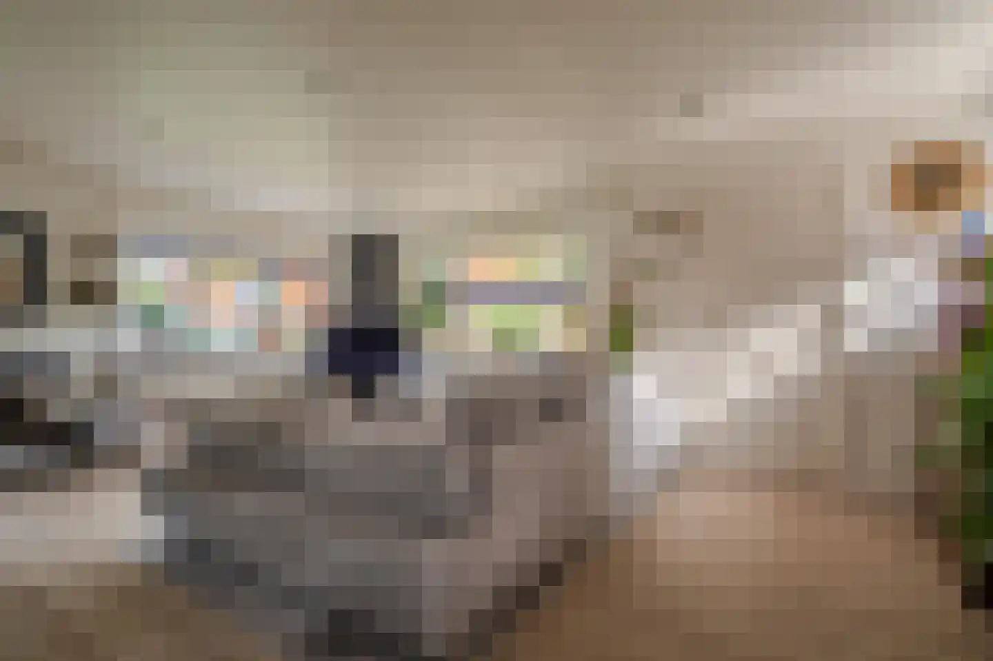 Molenlaan 4 Bellingwolde thumbnail 22