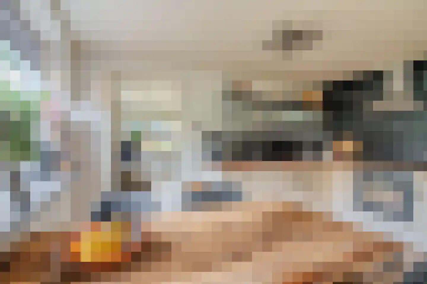 Molenlaan 4 Bellingwolde thumbnail 26