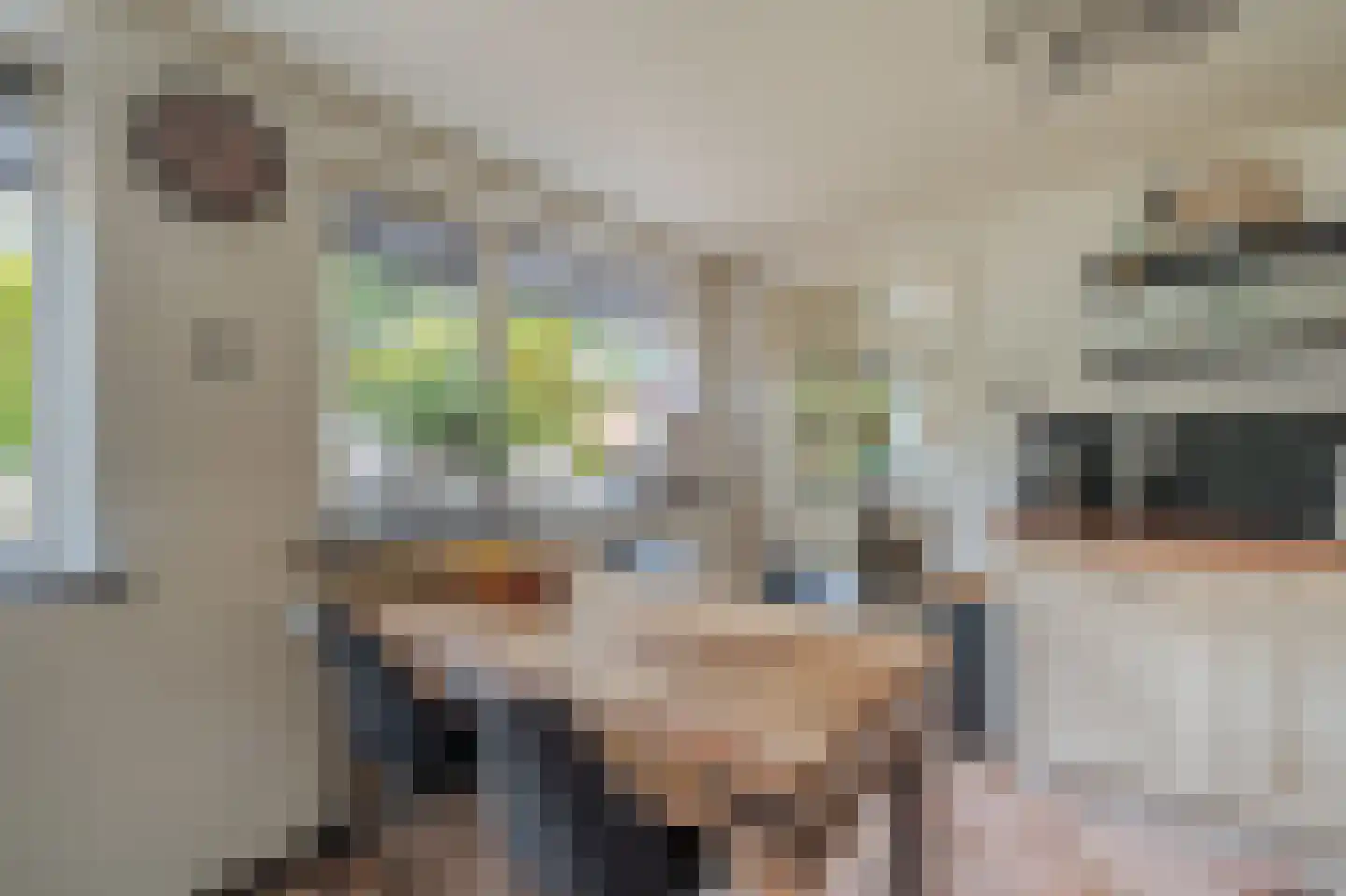 Molenlaan 4 Bellingwolde thumbnail 27