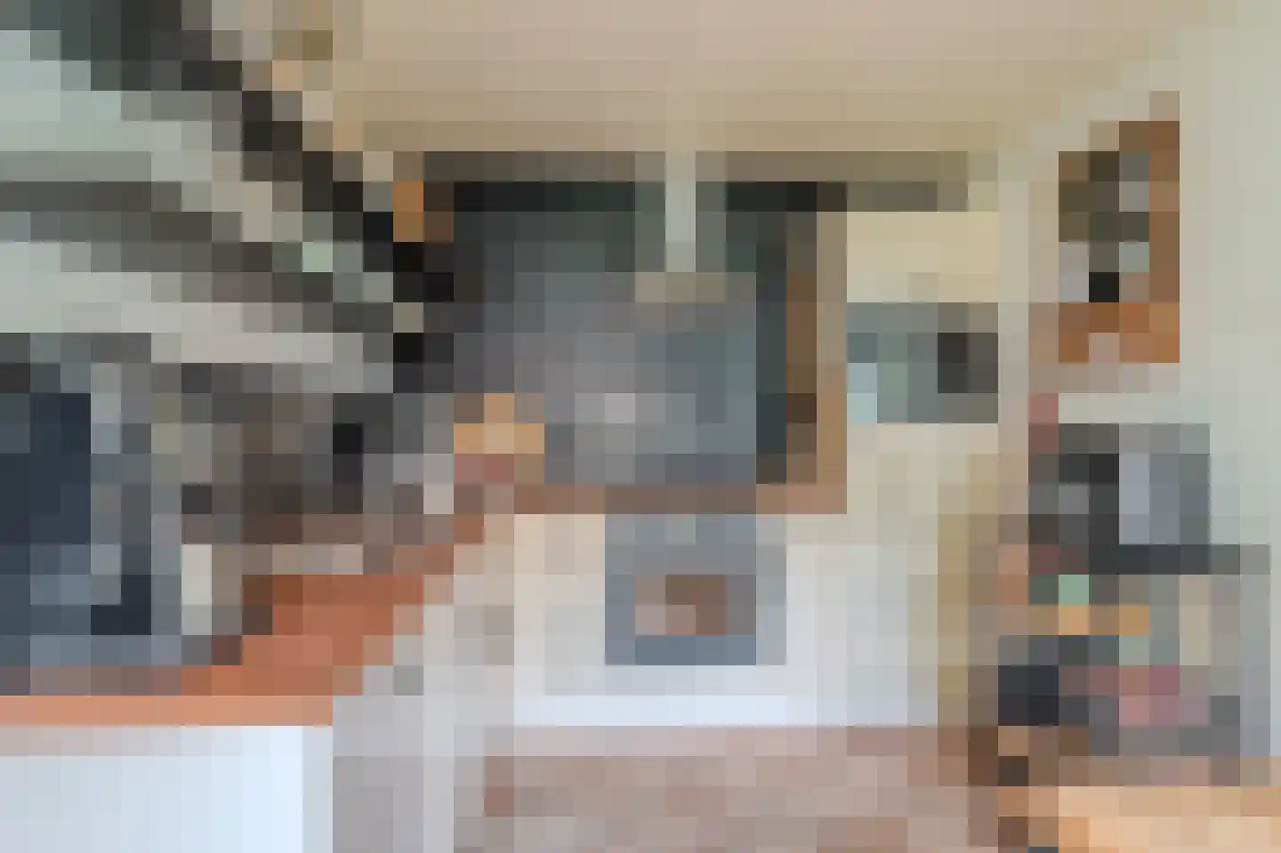 Molenlaan 4 Bellingwolde thumbnail 29